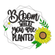 Bloom Where You Are Planted Embroidery Design V2, Instant Download