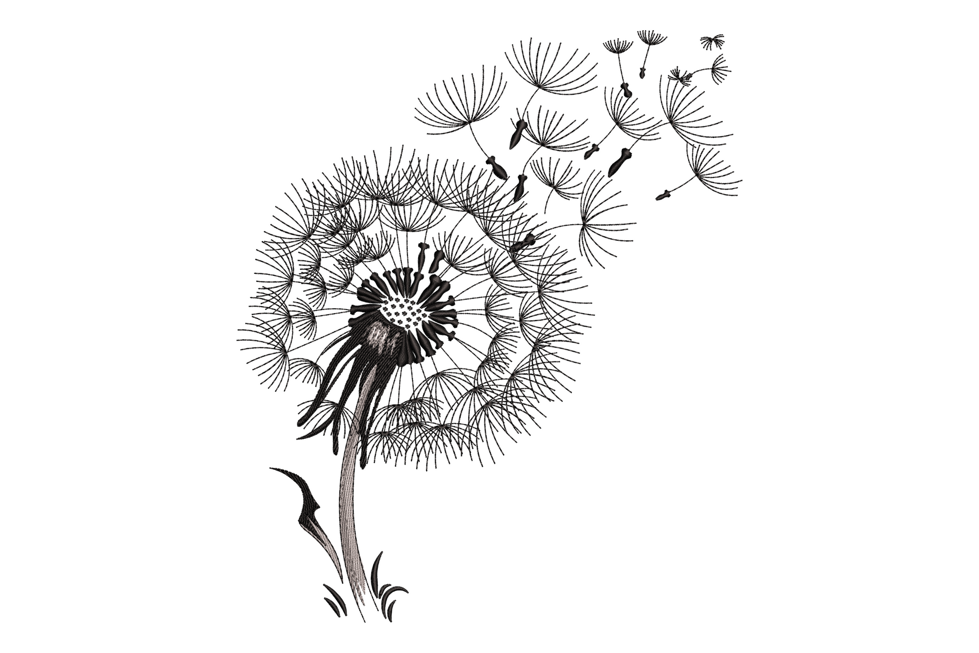 Blowing dandelion seeds embroidery design, fine ink-sketch style with radiating spokes and floating pappus seeds in charcoal and grey.