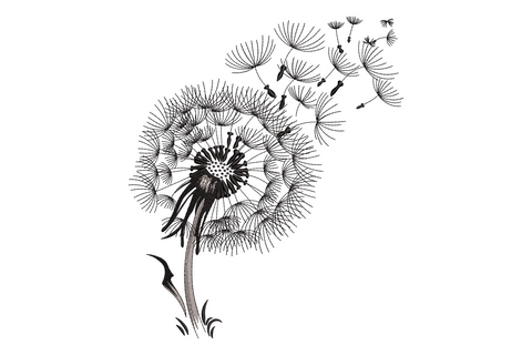 Blowing dandelion seeds embroidery design, fine ink-sketch style with radiating spokes and floating pappus seeds in charcoal and grey.