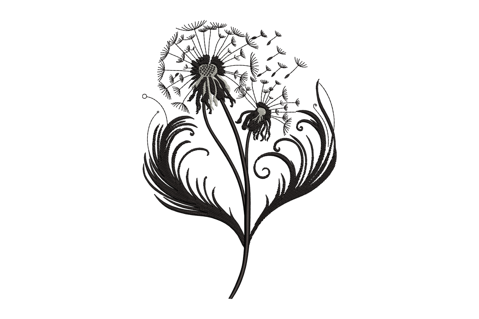Dandelion seed head mid-blow with drifting wisp seeds scattered wide, two colour botanical illustration, wide horizontal composition embroidery design
