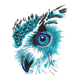 Blue Peacock Feather Eye Embroidery Design, Instant Download
