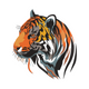 Bold Tiger Head Embroidery Design, Instant Download