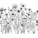 Botanical Floral Outline Border Embroidery Design, Instant Download