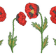 Botanical Poppy Bloom Embroidery Design, Instant Download
