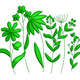 Botanical Wildflower Silhouette Embroidery Design, Instant Download