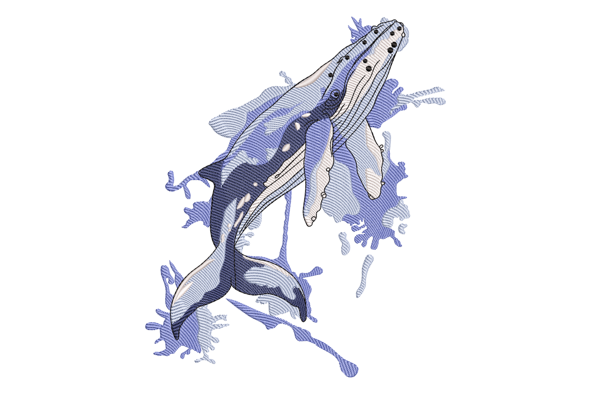 Breaching humpback whale embroidery design, three-tone blue body with white spray and black markings, diagonal breach pose.