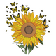 Bright Sunflower With Flying Butterflies Embroidery Design, Instant Download