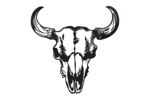 Frontal bull skull with wide sweeping horns single colour bold western graphic, satin fill with open eye sockets, symmetrical square composition