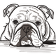 Bulldog Face Outline Embroidery Design, Instant Download