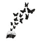 Butterflies Flying from Open Book Embroidery Design, Instant Download