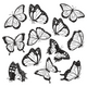 Butterfly Collection Embroidery Design, Instant Download