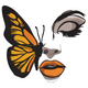 Butterfly Face Embroidery Design, Fashion Beauty Pattern, Instant Download