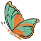 Butterfly Embroidery Design, Teal Orange Wing Pattern