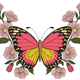 Butterfly with Flowers Embroidery Design, Instant Download