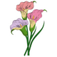 Calla Lily Trio Embroidery Design, Instant Download