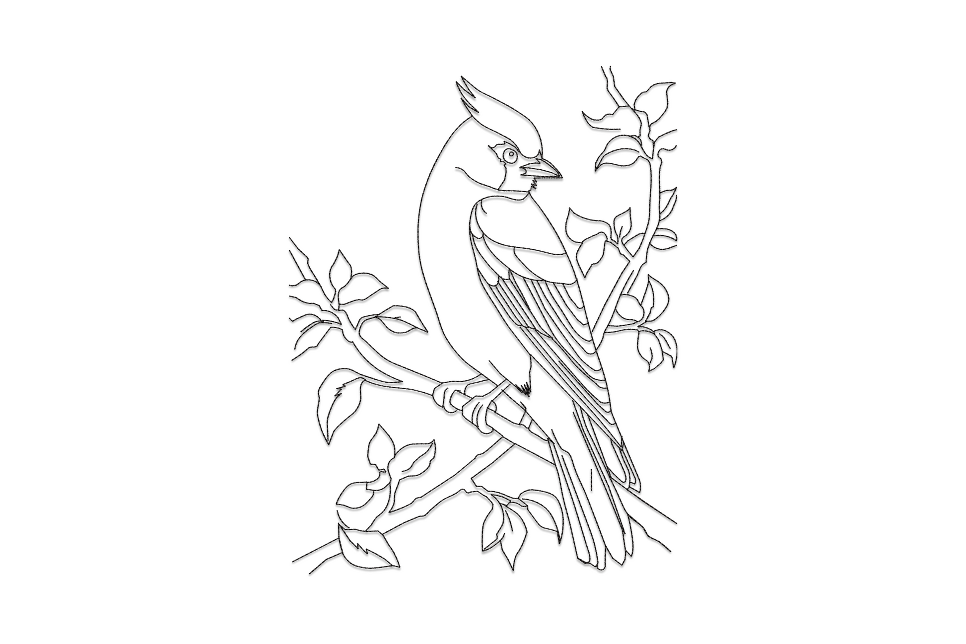 Cardinal bird on branch line art embroidery design, single-color outline of perched cardinal with crest and folded wings.
