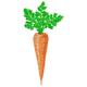 Carrot Vegetable Embroidery Design, Instant Download