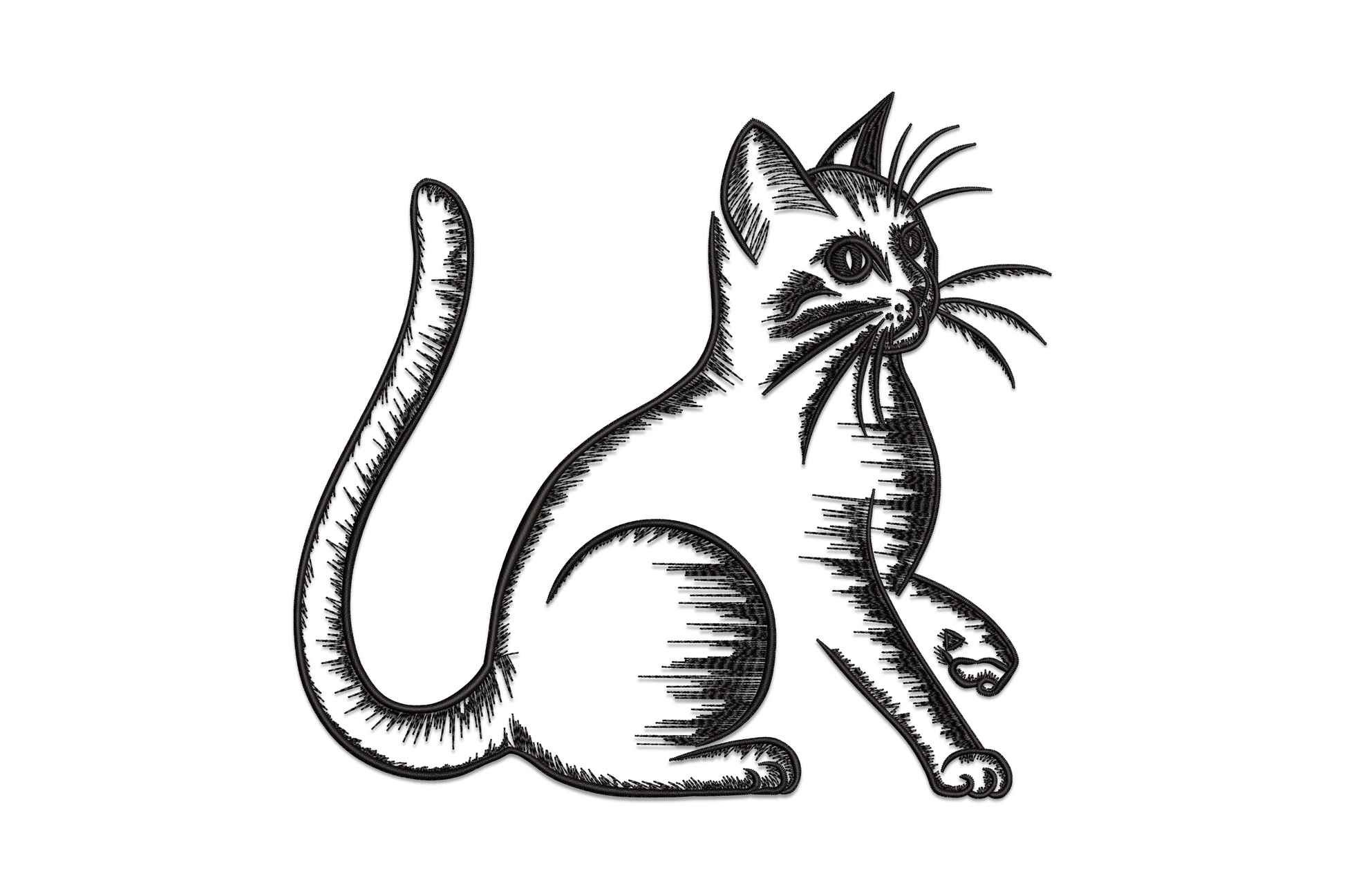 Cat sketch embroidery design, single black thread, sitting cat with crosshatch fur and fanned whiskers on white