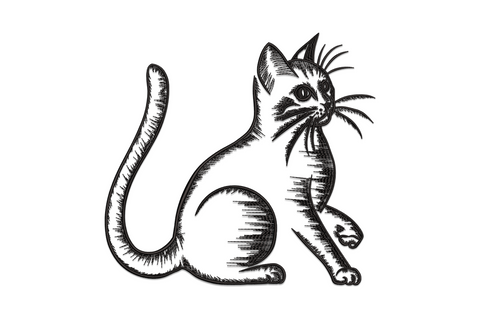 Cat sketch embroidery design, single black thread, sitting cat with crosshatch fur and fanned whiskers on white