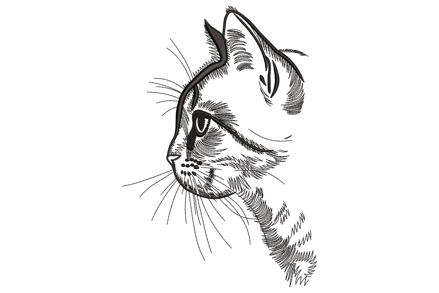 Single colour ink line drawing of a tabby cat profile facing left with pricked ear, fine whiskers fanning out and hatched shading across the head and shoulder