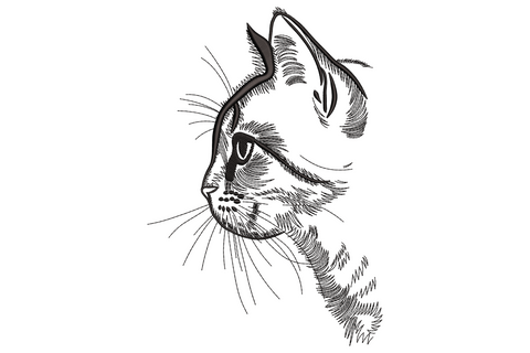 Single colour ink line drawing of a tabby cat profile facing left with pricked ear, fine whiskers fanning out and hatched shading across the head and shoulder