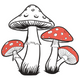 Charming Mushroom Embroidery Design, Woodland Machine Embroidery Pattern, Instant Download