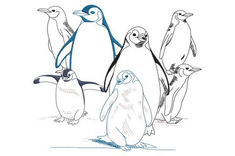 Penguin family embroidery, 6 penguins in naturalist sketch style, adults and chicks grouped with blue accent fills.