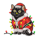 Christmas Cat in Santa Suit Embroidery Design, Instant Download