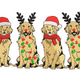 Christmas Dogs Embroidery Design, Christmas Pattern, Instant Download