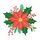 Christmas Poinsettia Embroidery Design, Instant Download