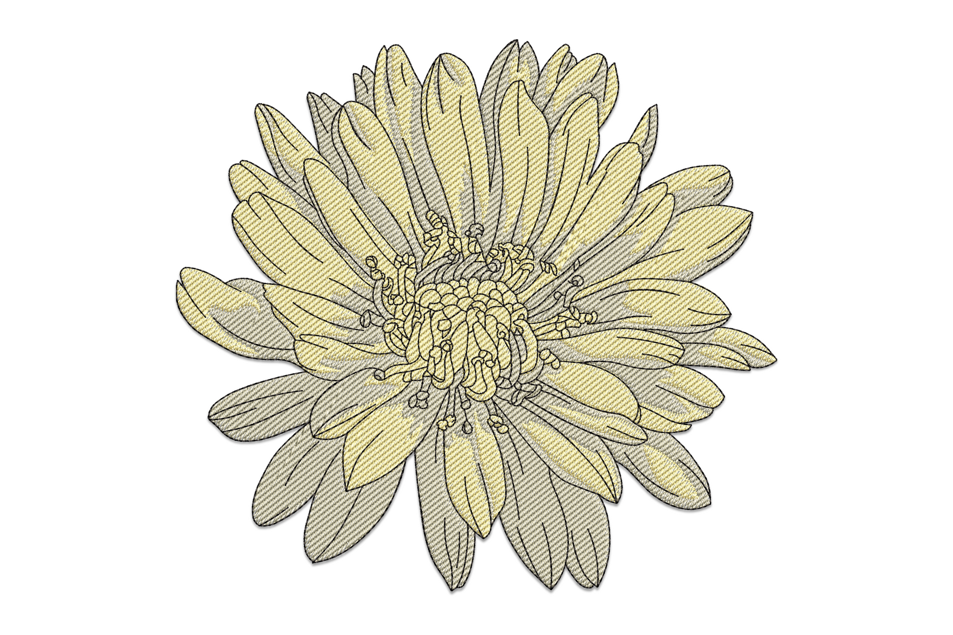 Single chrysanthemum embroidery head-on with layered cream-yellow petals, directional fills and a dense spiral olive centre.