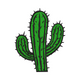Classic Green Cactus Embroidery Design, Instant Download