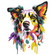 Colorful Border Collie Embroidery Design, Instant Download