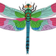 Colorful Dragonfly Embroidery Design, Instant Download