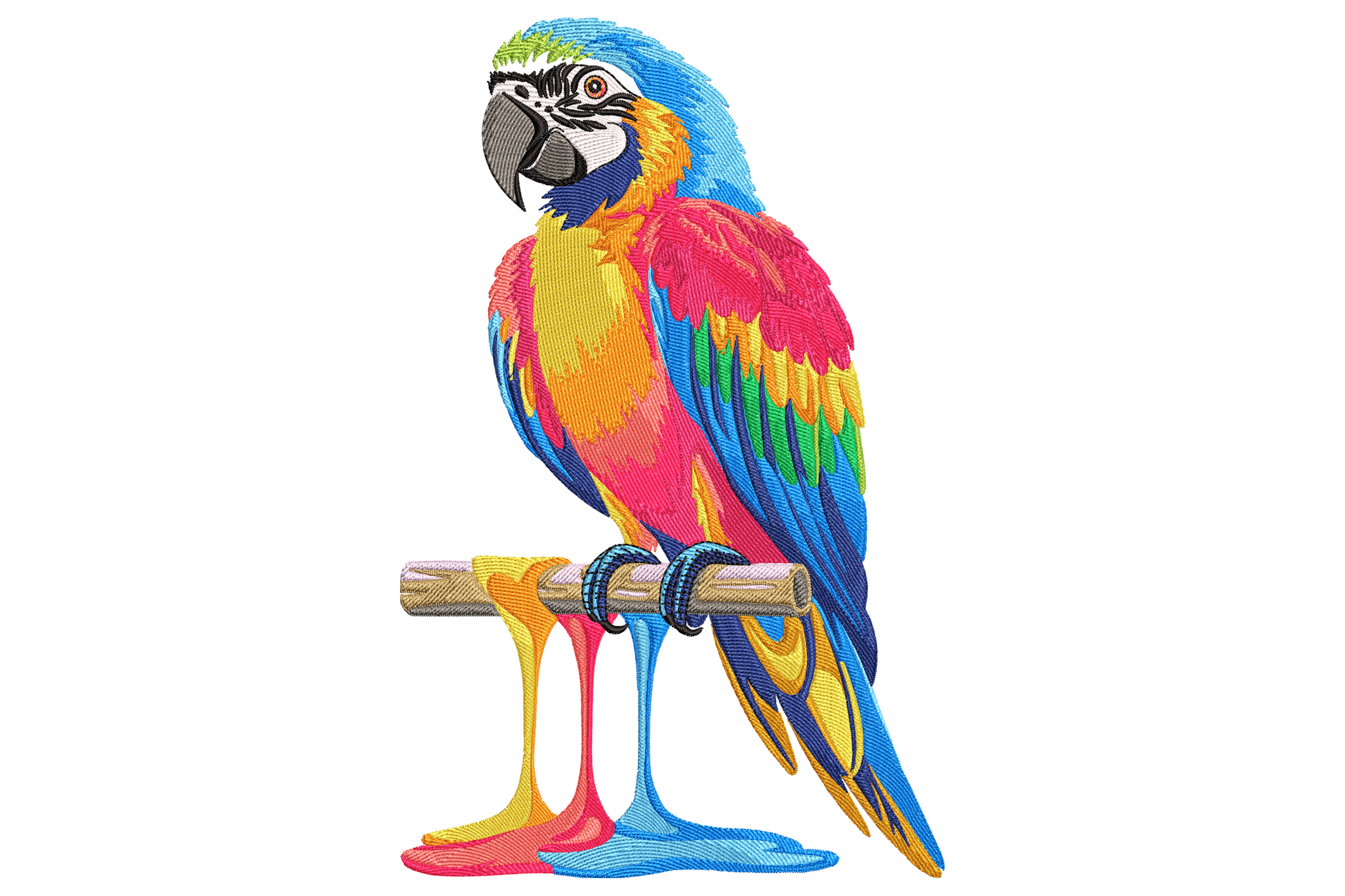 Colorful macaw parrot embroidery design perched on a branch with paint drips below, cobalt blue yellow red and green feathers.