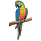 Colorful Parrot on Branch Embroidery Design, Instant Download