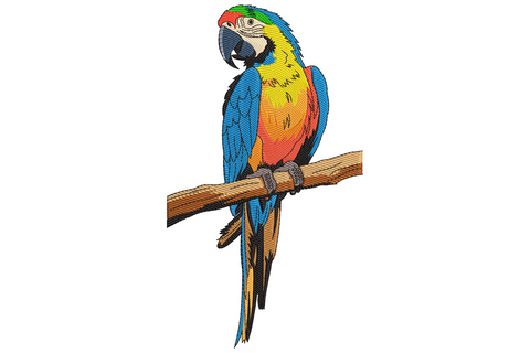 Colorful parrot on branch embroidery with blue wing and tail, mustard yellow chest, red back patch and green crown perched on wood branch.