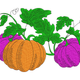 Colorful Pumpkin Trio Embroidery Design, Instant Download