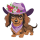 Cowgirl Dachshund Embroidery Design, Machine Embroidery Pattern, Instant Download