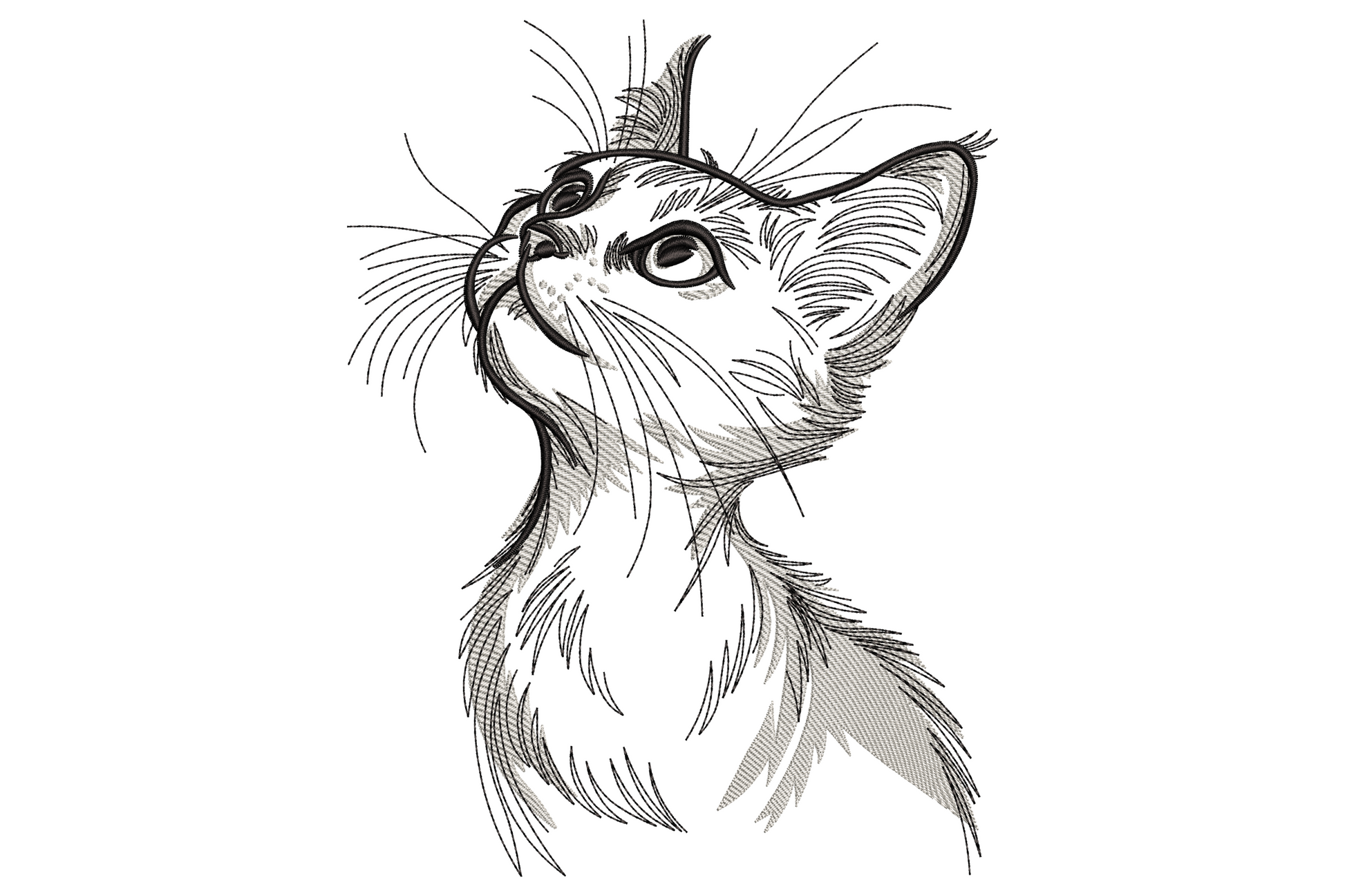 Hand-drawn pencil sketch kitten embroidery design, line art cat looking up with whiskers and pricked ears in black thread