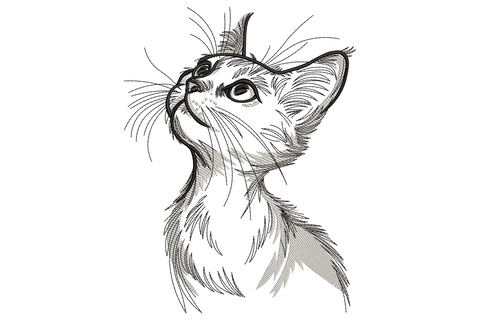 Hand-drawn pencil sketch kitten embroidery design, line art cat looking up with whiskers and pricked ears in black thread