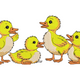 Cute Baby Ducklings Embroidery Design, Instant Download