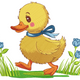 Cute Baby Duck with Blue Flowers Embroidery Design, Instant Download
