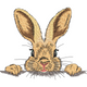 Bunny Peekaboo Embroidery Design, Easter Rabbit Machine Pattern, Instant Download
