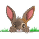 Easter Bunny Peeking Embroidery Design, Rabbit Pattern, Download