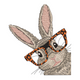 Cute Bunny with Glasses Embroidery Design, Instant Download
