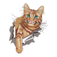 Cute Cat Peeking Embroidery Design, Instant Download