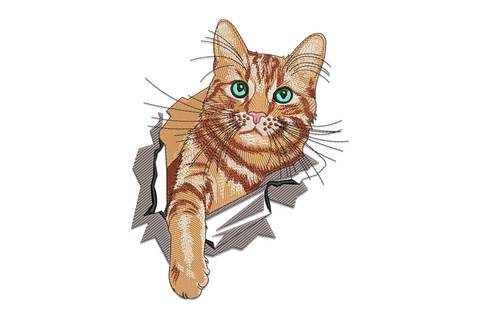 Cute cat peeking embroidery design with a ginger tabby bursting through torn fabric, teal eyes, pink nose and one paw stretched forward.