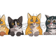 Cute Cats Lineup Embroidery Design, Instant Download