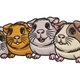 Cute Guinea Pig Family Embroidery Design, Instant Download